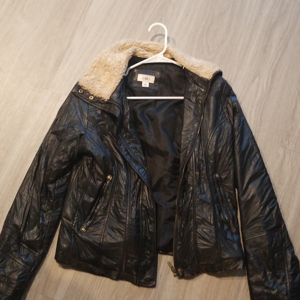 Coat